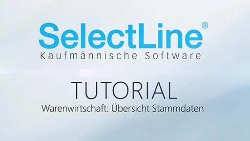 Video zum Warenwirtschaftssystem von SelectLine: Aufbau der Stammdaten